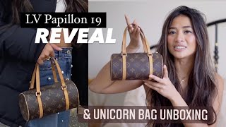 louis-vuitton papillon handbag 19