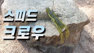 (배스낚시)저수지에서 만난 여성 고수에게 한수 배우기