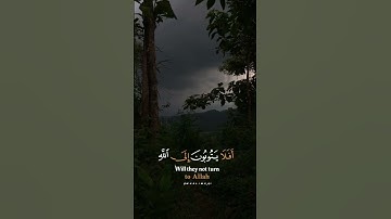 أَفَلَا يَتُوبُونَ إِلَى اللَّهِ - تلاوة باكية - القارئ: ناصر القطامي.