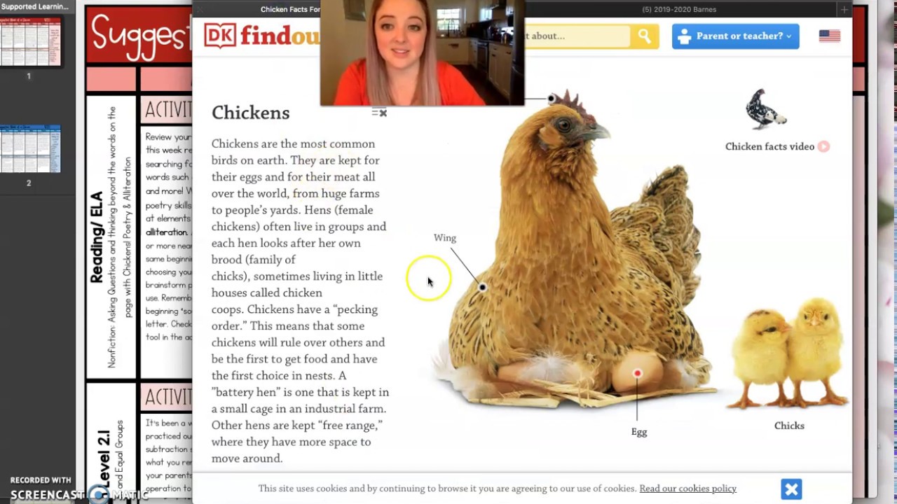 Week 5 ELA Activity B