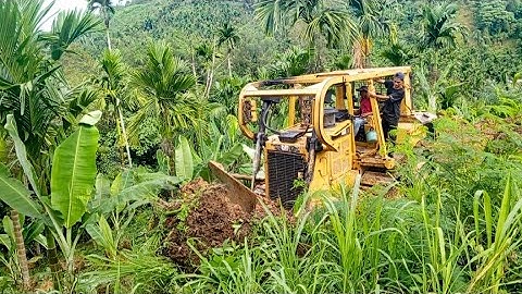 Create a mountain oil palm plantation terrace using the CATERPILLAR BULLDOZER D6R XL