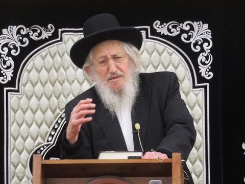 סרטון נדיר בו נראה הגאון הגדול ר אריה לוי שליט א מלווה את מרנן ורבנן גדולי ישראל זיע א 