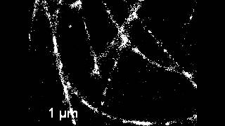 STORM experiment with immunostained microtubules