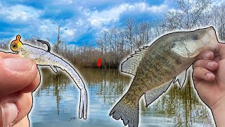 CRAPPIE Fishing with NEW LURE ** BEST CRAPPIE CATCH AND COOK RECIPE EVER!!