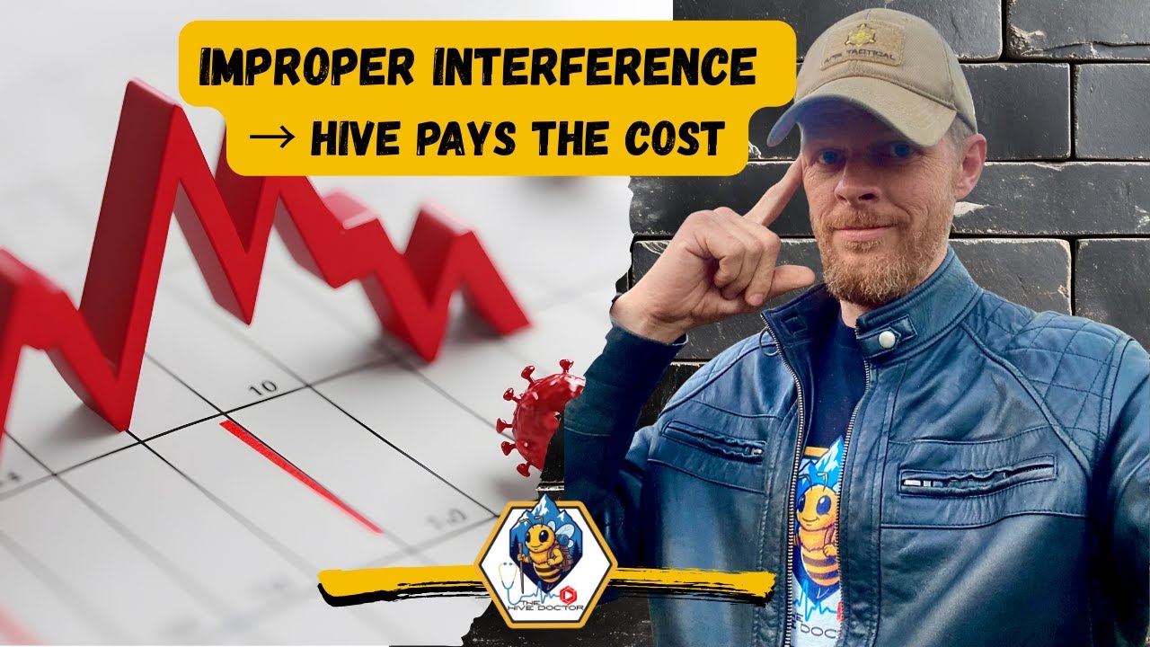 Коллективная экономика и цена вмешательства