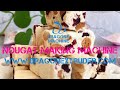Nougat Making Machine Supply OEM/ODM China Fully Automatic Halva Sesame Candy Cutting Nougat Machine