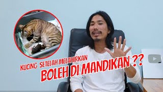 Jangan Mandikan Kucing Setelah Melahrikan Apabila Kondisi Kucing Seperti Ini.