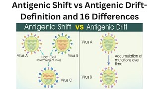 Antigenic Shift vs Antigenic Drift  Definition and 16 Differences