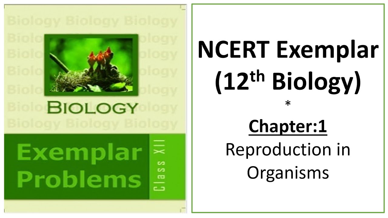 Reproduction in Organisms Chapter 1 || NCERT Exemplar Class 12 Biology ...