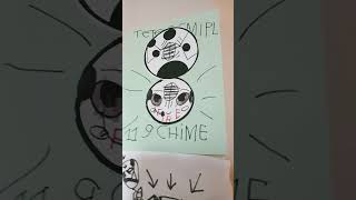 speaker strobe fire safety simplex fire drills Elementary School TT fire alarm