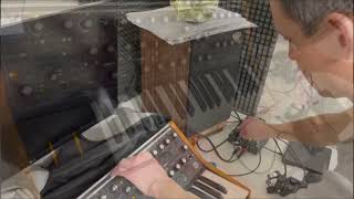 Moog sub 37 & collider - test