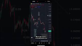 Эмоции владельцев DOGE