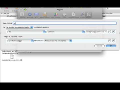 Video: Come Automatizzare La Posta?
