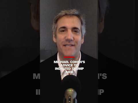 Video: What did ex-Trump lawyer Michael Cohen confess to?