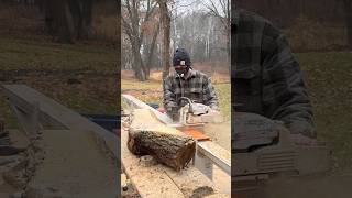 Black Walnut Cut with My Logosol F2+ Chainsaw Mill for Future Home Decor Projects! #sawmill #wood