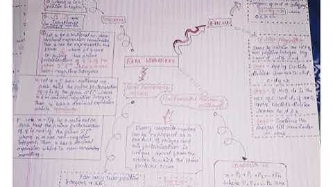 Best mind map class 10 chapter 1 Real Numbers Maths