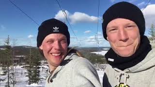 Blondy Mondy Svanstien