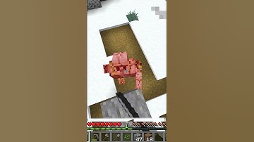 Acquire Hardware | Advancement #3