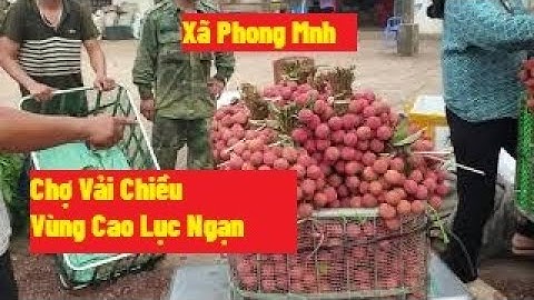 Chợ Vải Chiều Vùng Cao Lục Ngạn l Vải Thiều Lục Ngạn Bắc Giang