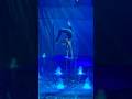 Icon of the Seas: AquaDome Show 💦😯 #cruise #vacation #familyfun