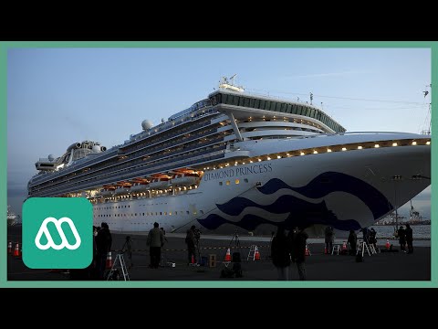 Vídeo: Crucero En Cuarentena Debido A Caso De Sarampión