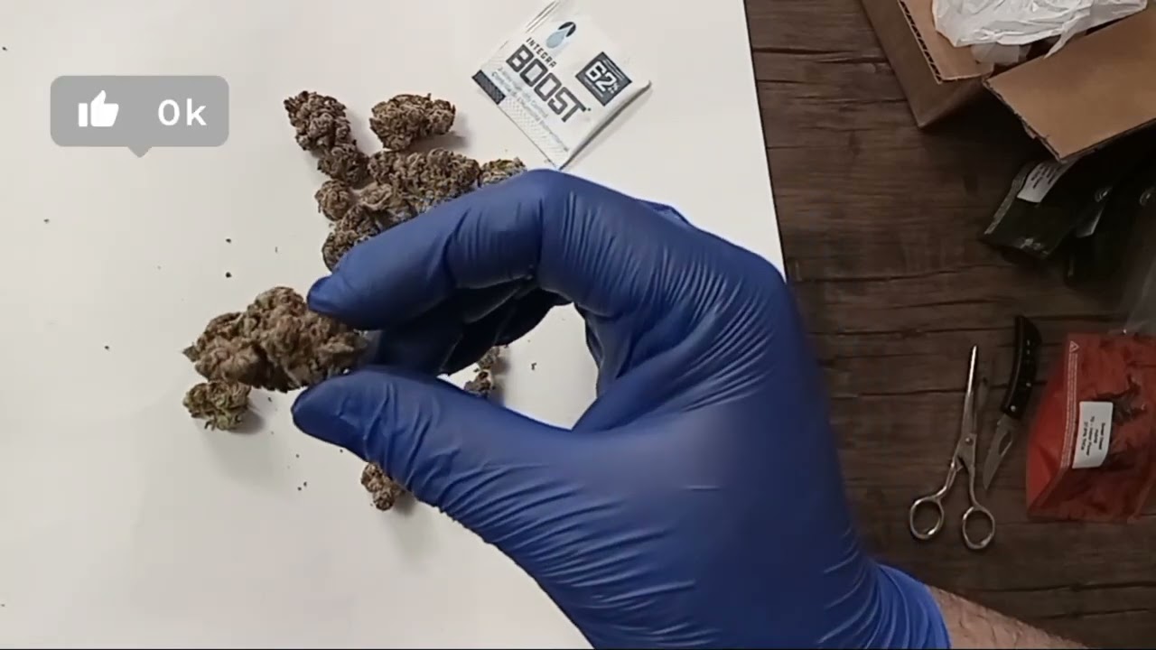 August club. Honest review.