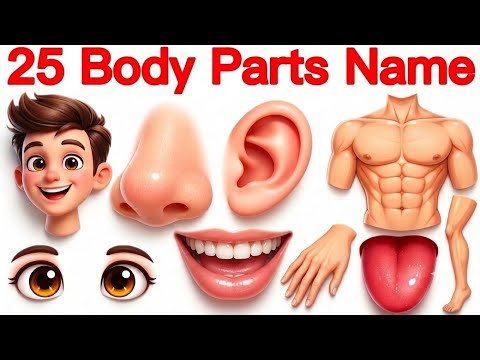 25 Body Parts Name English to Hindi With Facts | Learn Body Parts Pictures | Names of 25 Body Parts