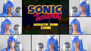 Aquatic Ruin Zone - Sonic the Hedgehog 2 Cover/Acapella (ft.bass)