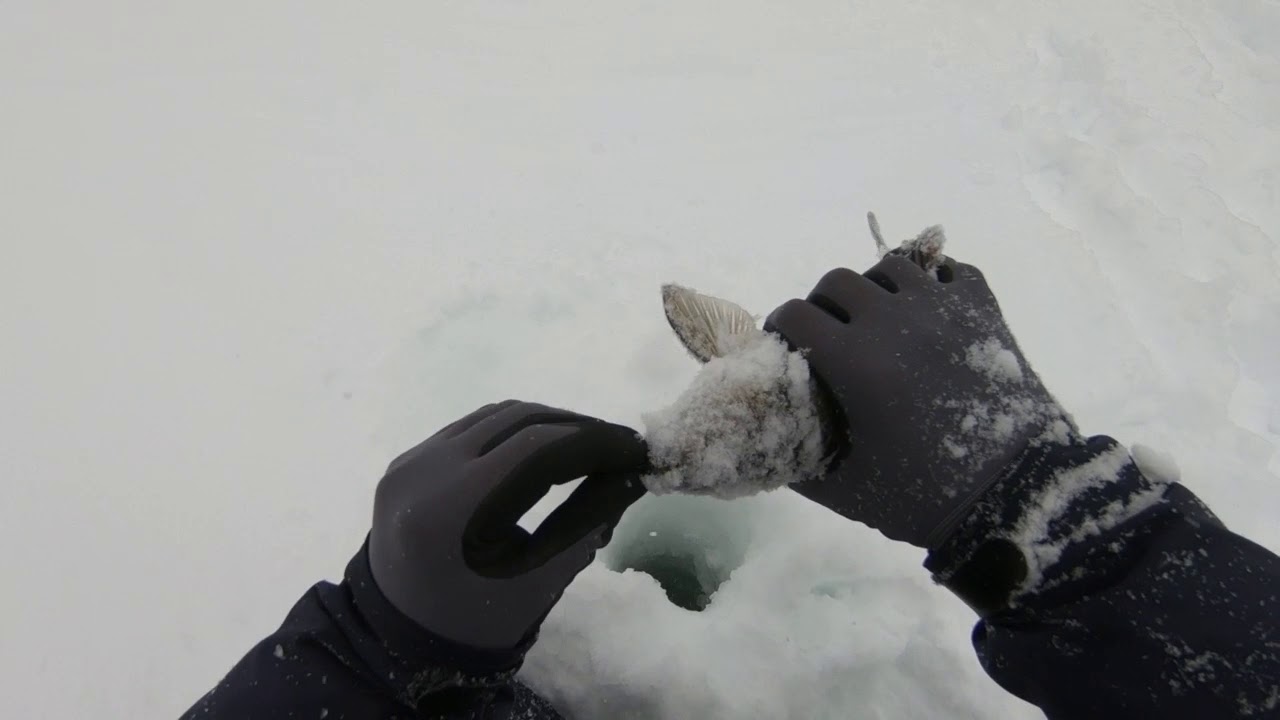 На Рыбалку,Трофейная щука!(день 2й)