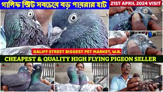 Cheapest & Good Quality Pigeon Seller|সবচেয়ে বড় পায়রার হাট | Galiff Street Market, Kolkata |21/04/24 by AMAR 2020 1,541 views 1 day ago 7 minutes, 28 seconds