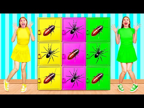 تحدي ألوان صندوق الغموض التحدي المجنون  