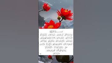 قرآن كريم/سورة الأعلى #قران_كريم #quran #راحة_نفسية #relaxing #أزهر #اطمئن #رقية