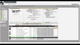 DigitalHorses Stallion to a Gelding