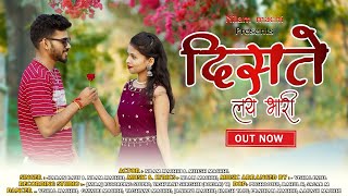 दिसते लय भारी । Diste Lay Bhari | Karan Raut | Nilam Machhi | Love Song 2023