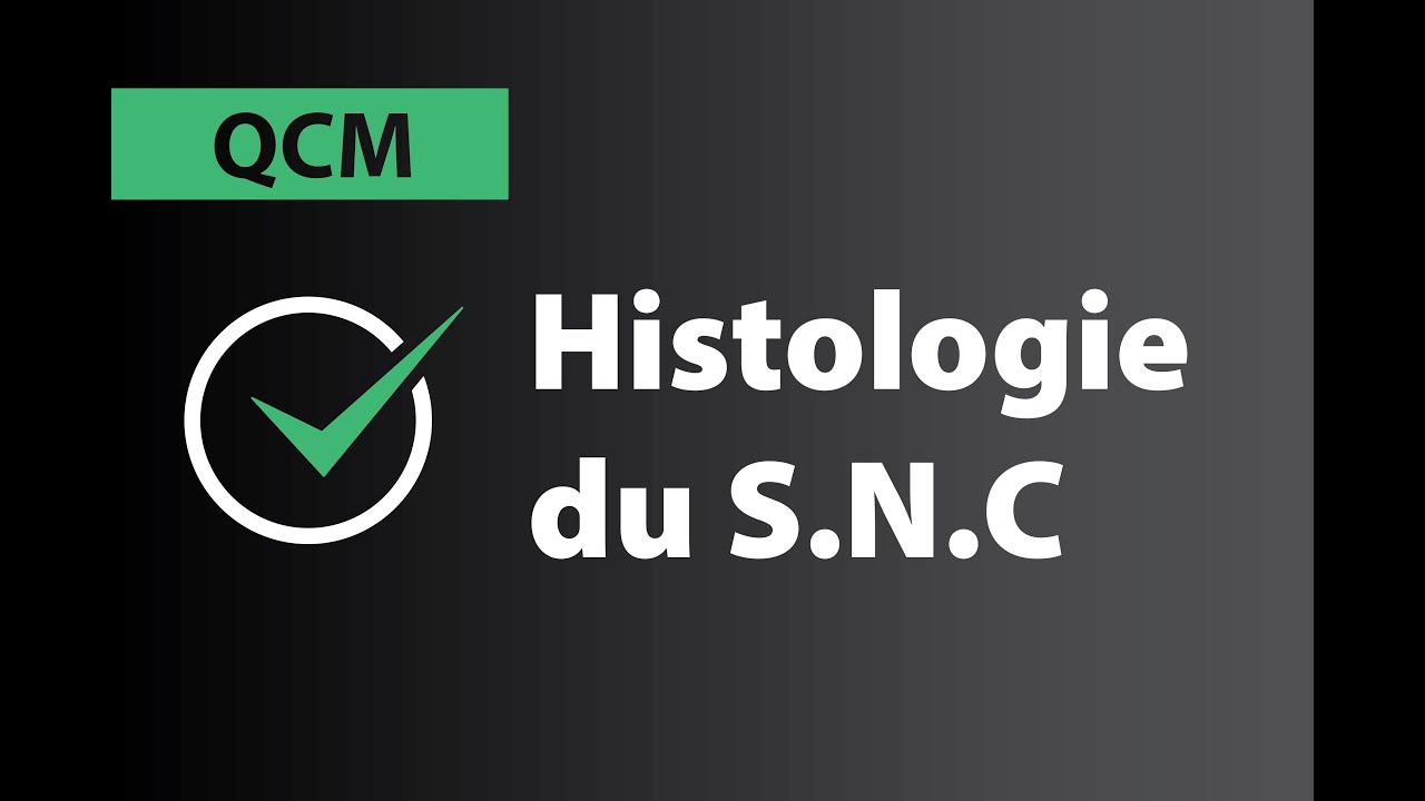 Tutorat QCM : histologie du système nerveux