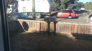 IMG 0054