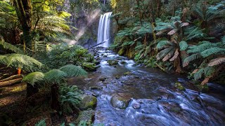 Relaxing water music | Music for babies to sleep | Soft piano with water sounds | 2 hour loop 😴 screenshot 4