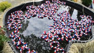 Vineland Memorial Day 2019