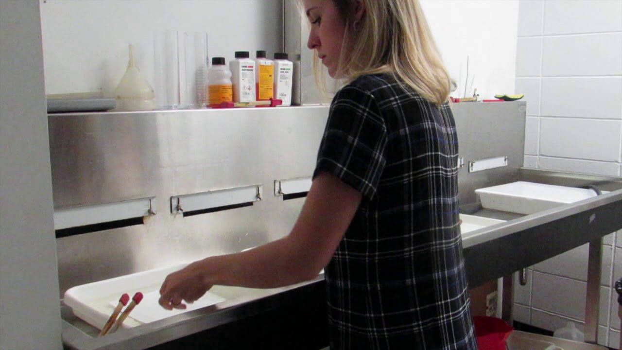 Developing a Photogram