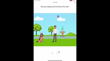 Easy Game - Brain Test Level 482 - Get your dog up and continue the walk