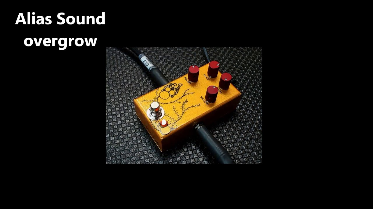 ギター Alias Sound overgrow Alias Sound「overgrow」(0066-006)（ビルコレ2018作品） ヒズミ屋