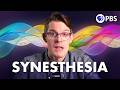 Understanding Synesthesia