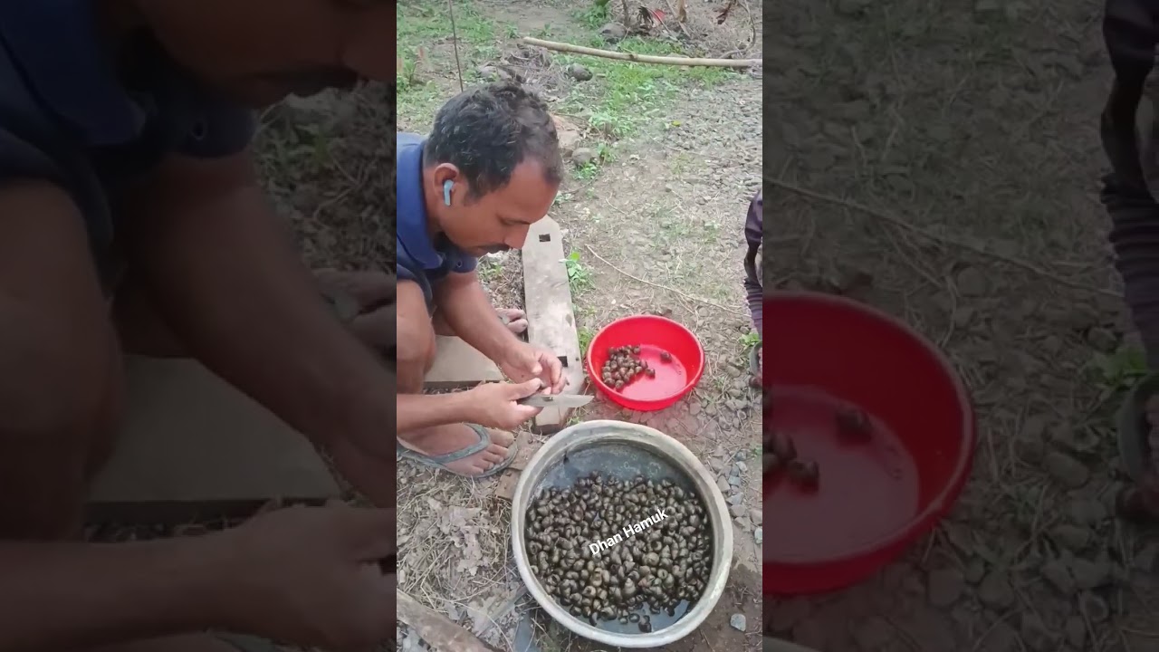 Dhan Hamuk Recipe assamese 