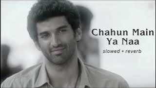 Chahun Main Ya Naa  [Slowed Reverb] - Aashiqui 2