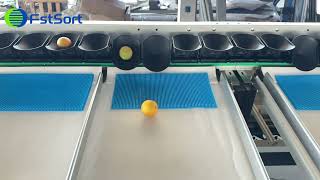 Orange Grading Machine; Orange sorting Machine