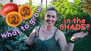 21 Edible Plants to GROW IN THE SHADE 🌿 Let's grow more food at Home 🌿 Growing Food in Shade