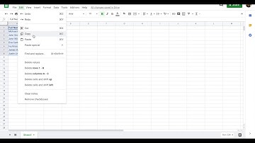 How to Transposed Google Sheet Data Vertical to Horizontal