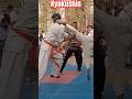 Artofight short kyokushin fight viral karate art karate shots