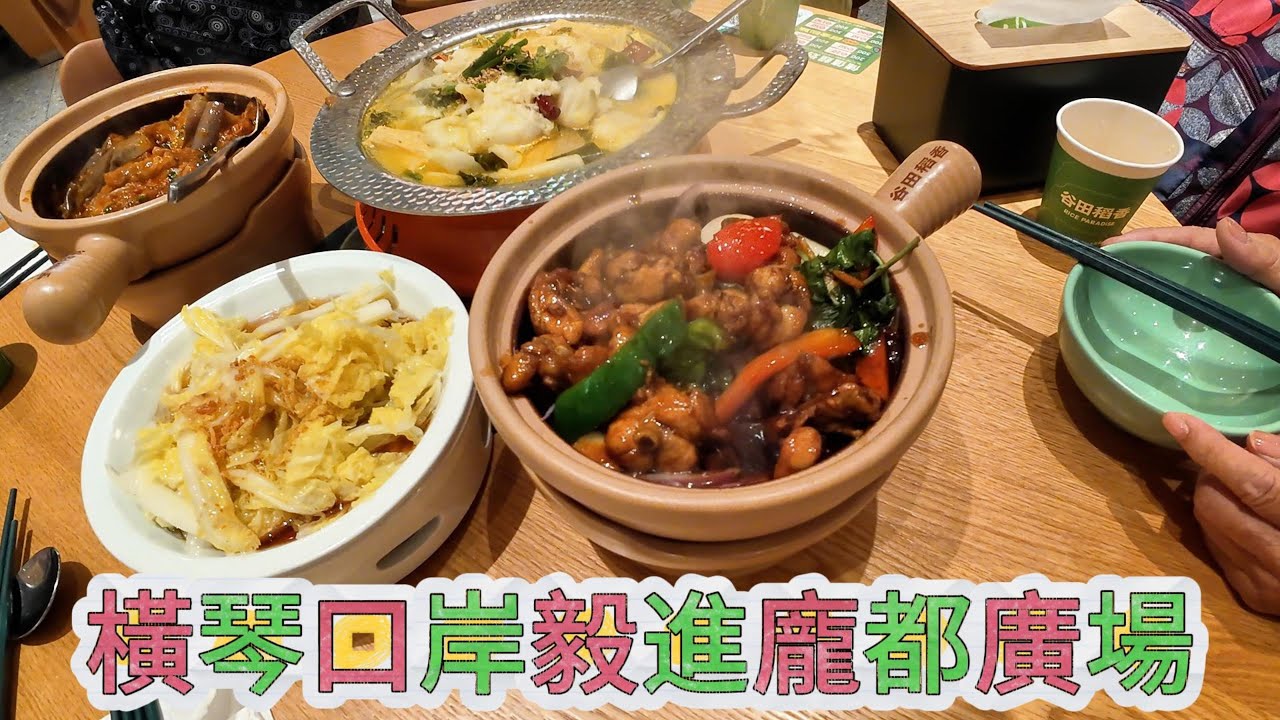 橫琴口岸毅進龐都廣場 