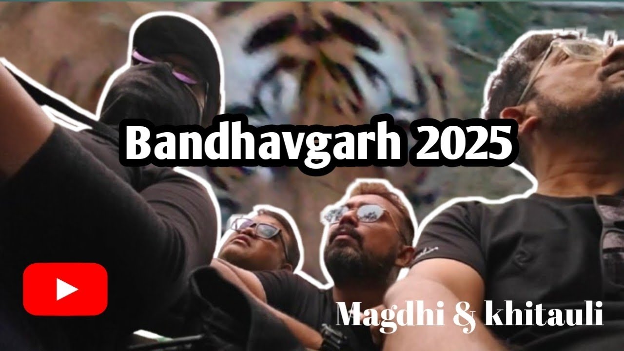 Bandhavgarh in October 2025 || Tiger sighting in Khitauli zone || Tiger Trail Resort 